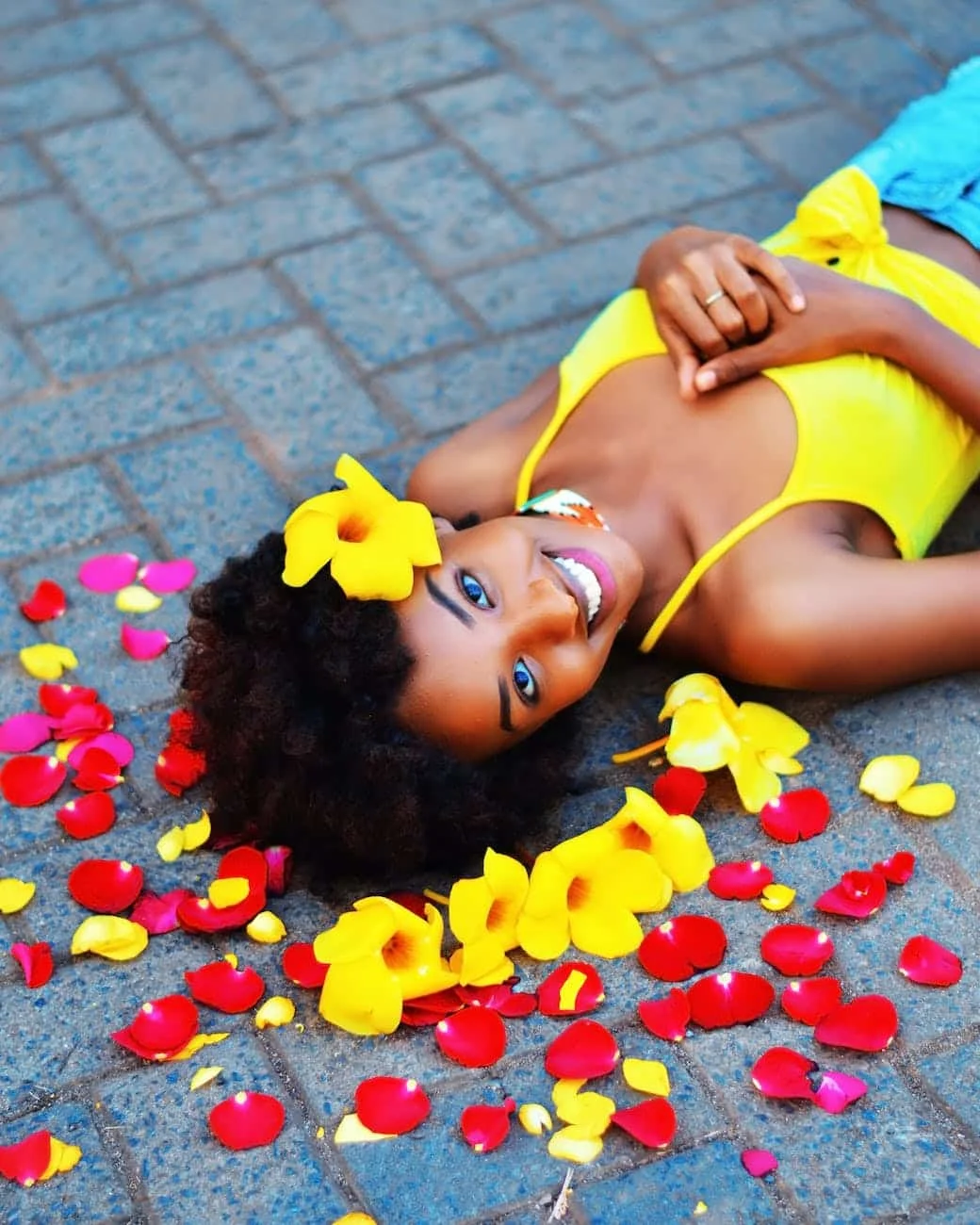 Circulatory Flow: Hibiscus & Heart Vitality