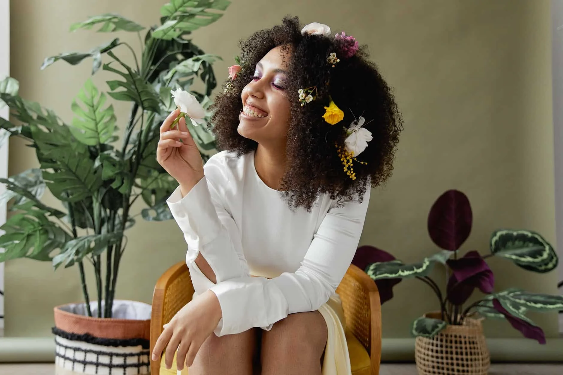 Tonic Herbs To Boost Immunity
