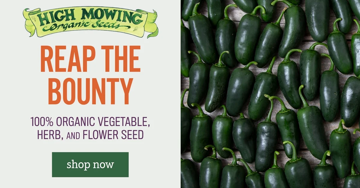 DIY Herbal Farms, Elevate Your Gardening with High Mowing Organic Seeds