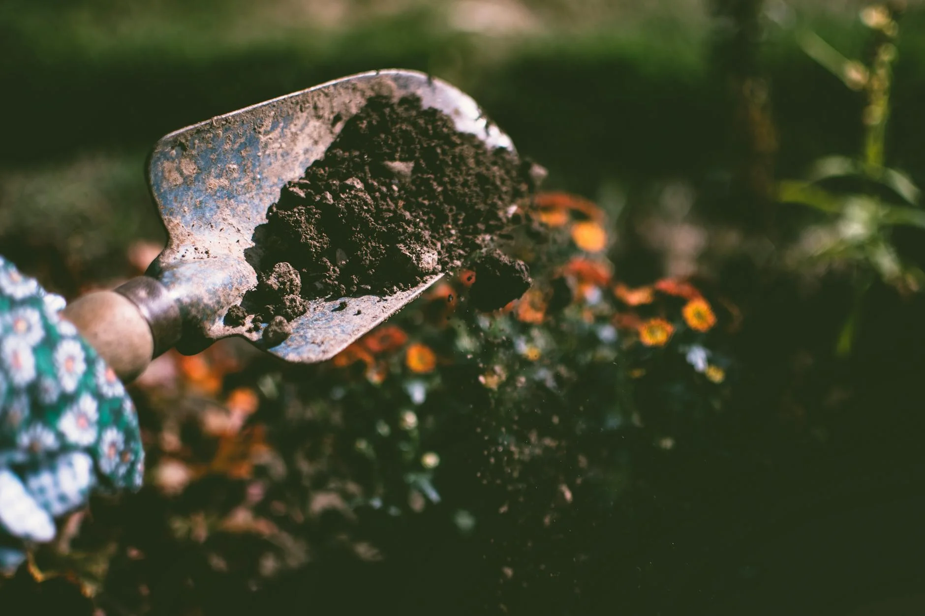 Gardyn Home 4.0 vs. Traditional Gardening:   Weighing the Pros and Cons
