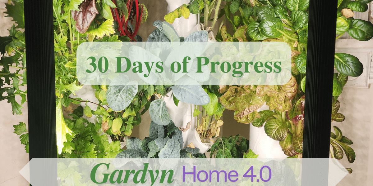 Is the Gardyn Home 4.0 Worth the Investment? An Honest Assessment