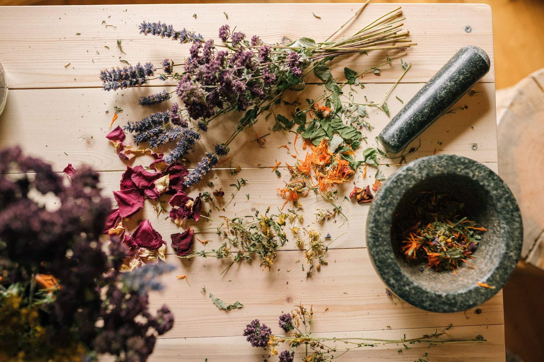 Embracing Herb Wellness for a Holistic Lifestyle: Your Ultimate Source