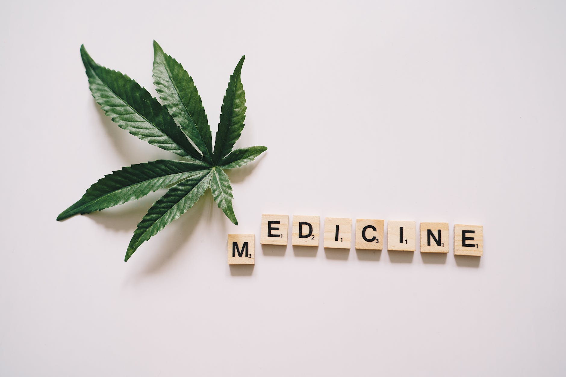 letter tiles beside a cannabis plant