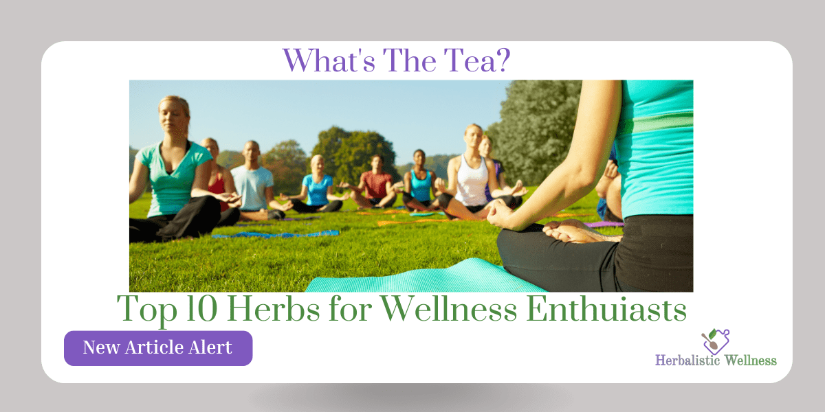 Herbalist Point Of View: Top 10 Must-Have Herbs for Wellness Enthusiasts