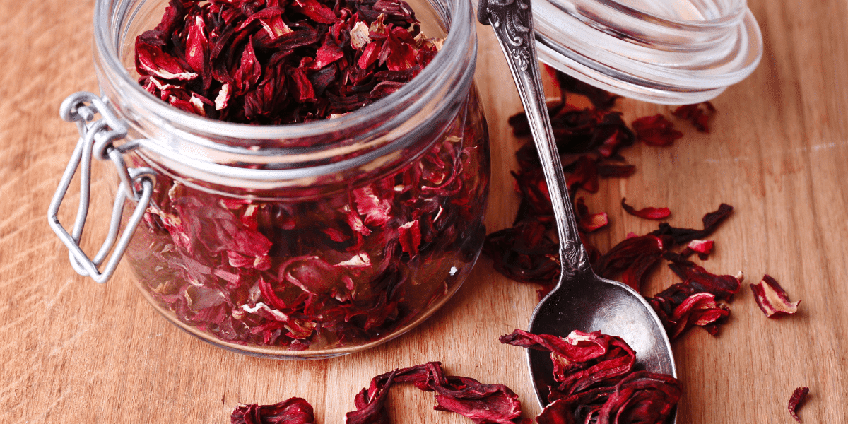 Hibiscus Leaf
