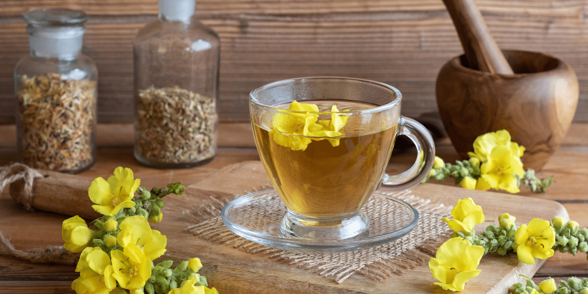 How Long to Steep Mullein Tea: Perfect Steep Time to Unlock its Maximum Benefits